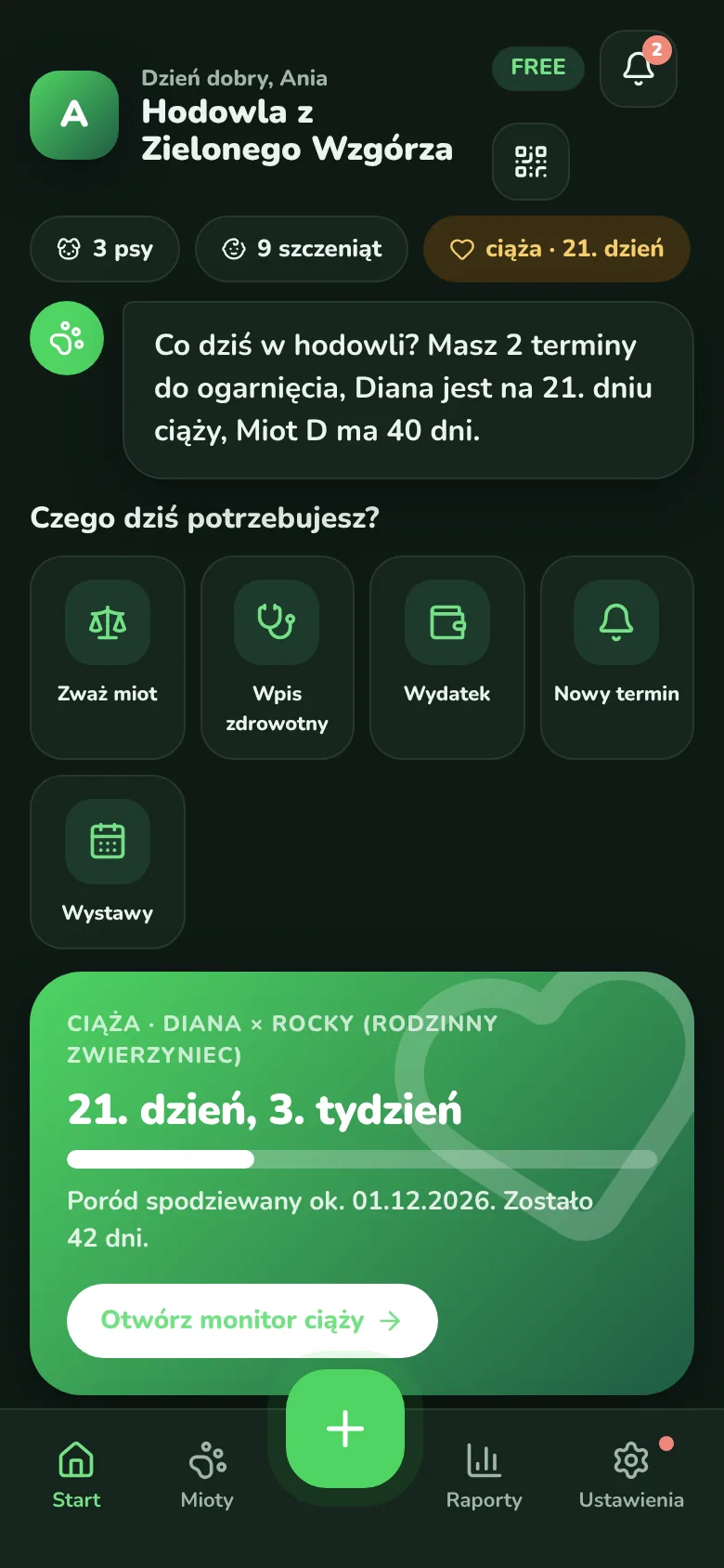 Tryb ciemny